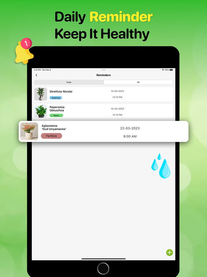 Plant Identifier And Care Tips