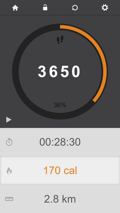 365 Pedometer Screenshot
