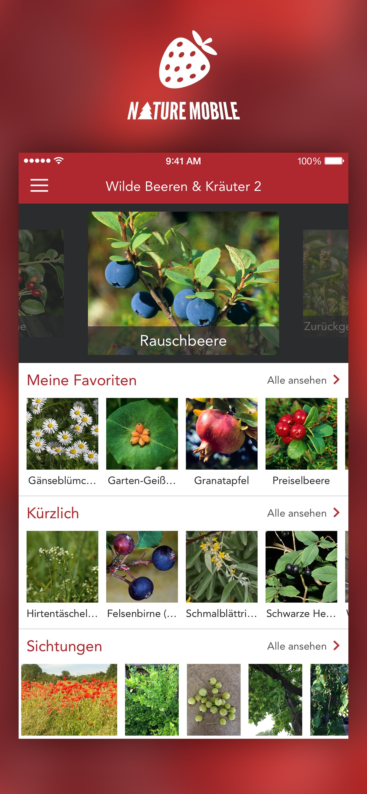 Wilde Beeren und Kräuter 2 PRO