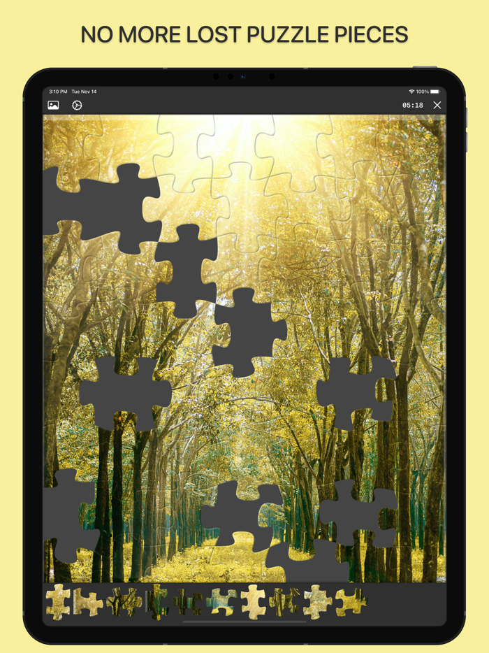 Jigsaw Puzzle Game for Family
