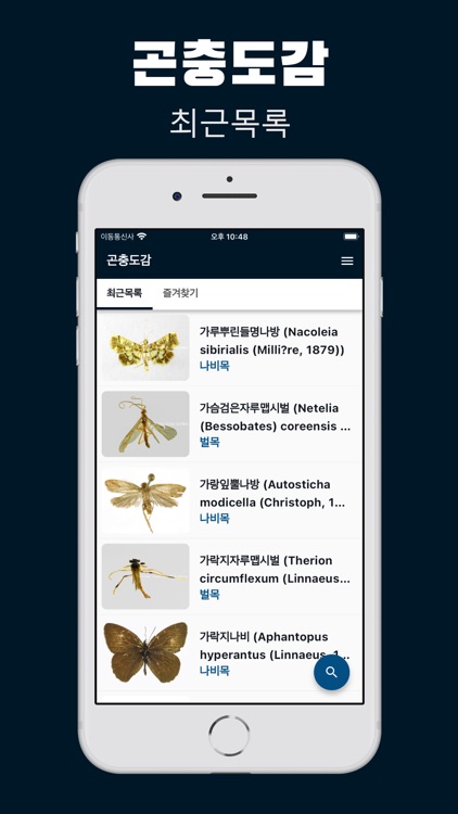 파브르 곤충도감 | 곤충 정보 백과사전