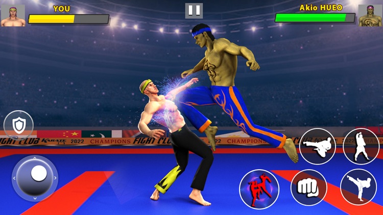 Karate Fight - Martial Fighter