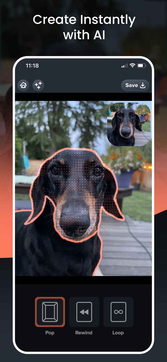 Picadelic Photo Effects Editor