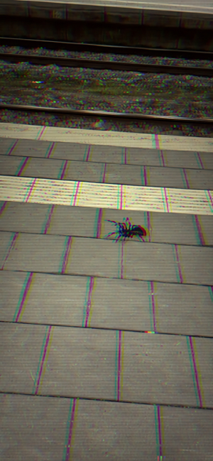 Screenshot ng AR Spiders