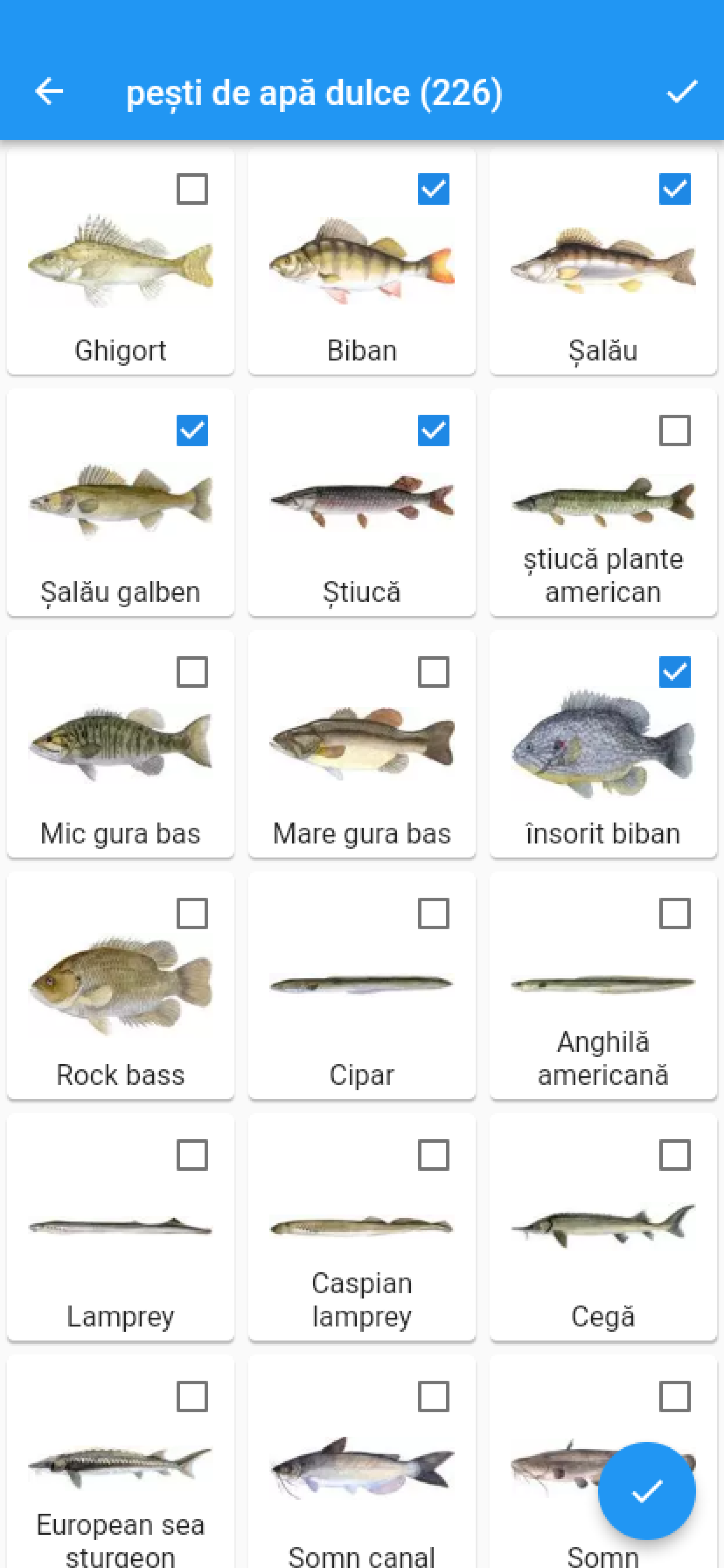 Ceasuri Pentru Pescari