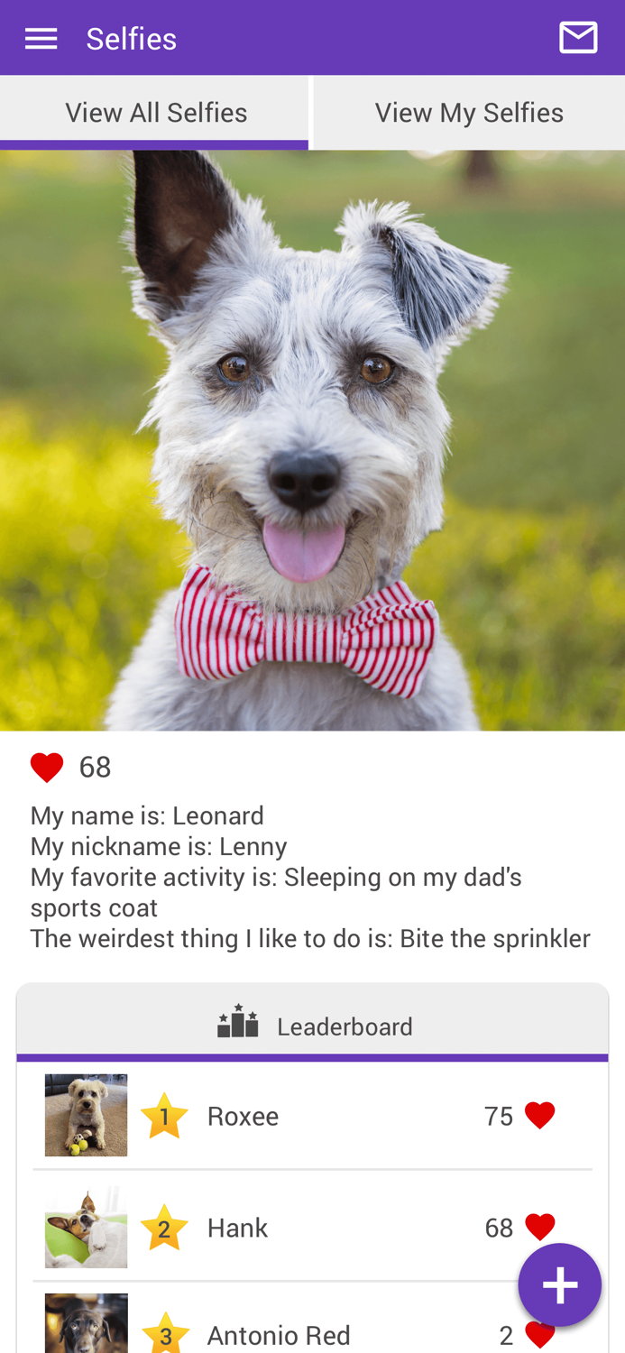 Wisdom Animal Hospital