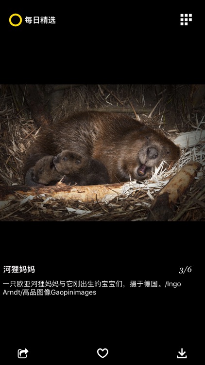 每日精选-天文地理人文美图、壁纸 screenshot-8