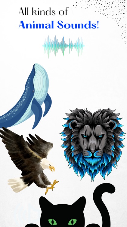 Animal Sounds - Cats Meowing