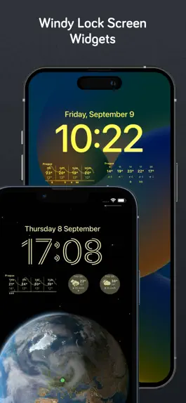 Game screenshot Windy.com - Weather & Radar hack