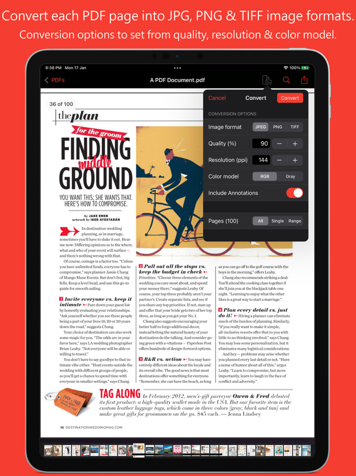 PDF to JPG - Converter