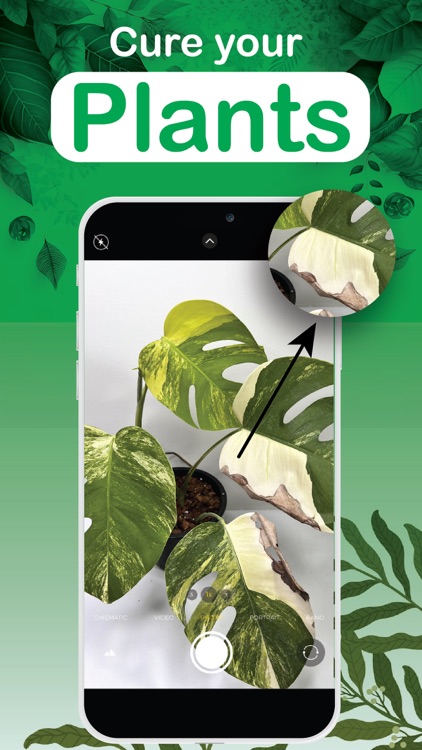 Plant Identifier: Detect Leaf screenshot-6