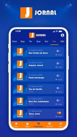 Game screenshot Rádio Jornal Indaiatuba hack