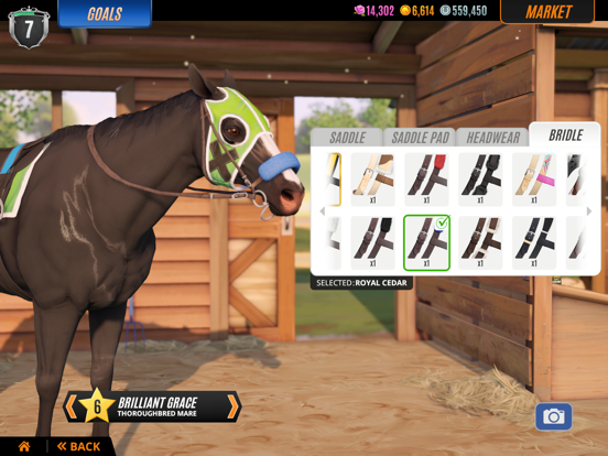 Rival Stars Paardenrennen iPad app afbeelding 6