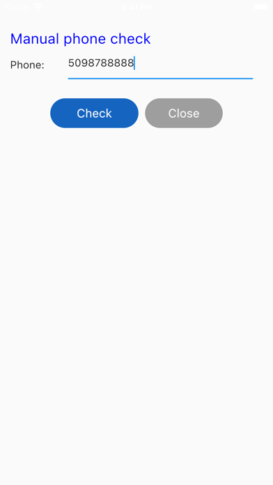 Phone Validator Screenshot