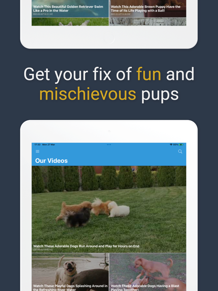 Pawfect Life - Puppy Training