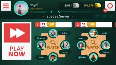 Spades Auction Screenshot