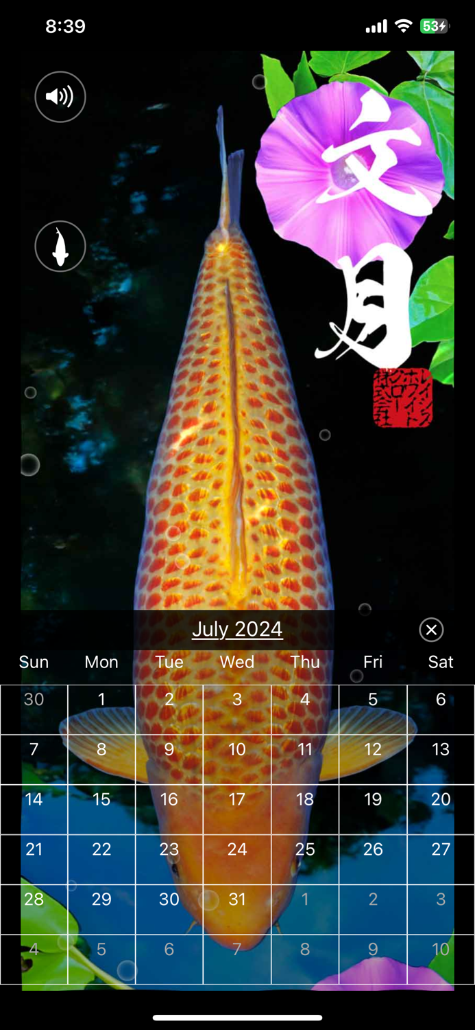 錦鯉四季暦　～にしきごいしきごよみ～