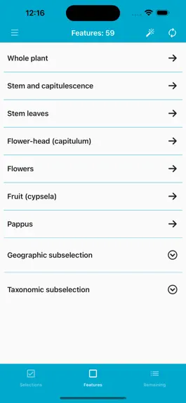Game screenshot Key to the Cassinia group apk