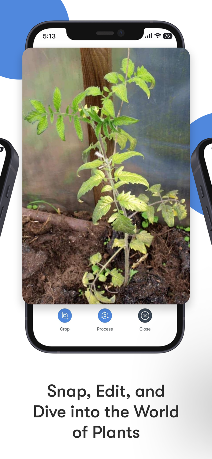 RootSnap Plant Identification