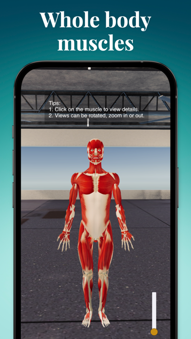 Just Fitness: AI Workout Coach Screenshot