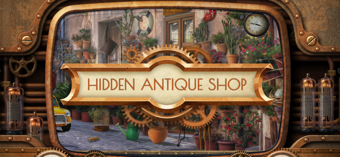 The Hidden Antique Shop