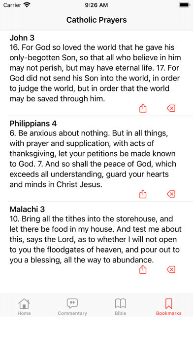 Catholic Prayers and Bible Screenshot