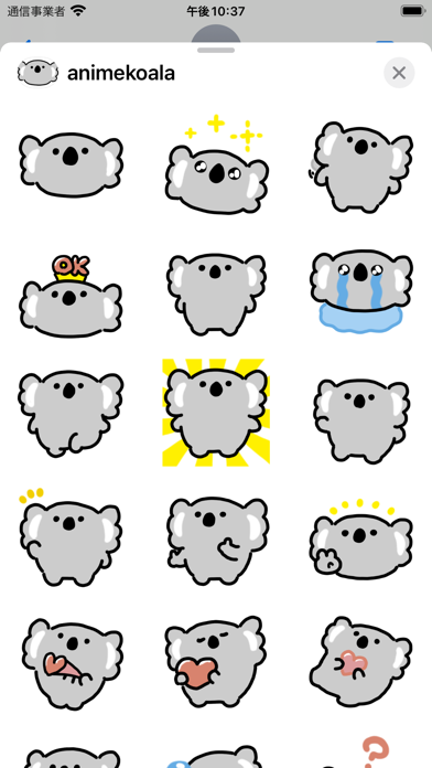 animated koala sticker Screenshot