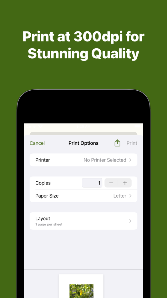 #2. Print Perfectly (iOS) 由: Heiko Theuner