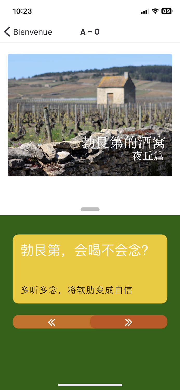 勃艮第的酒窝 Vins de Bourgogne