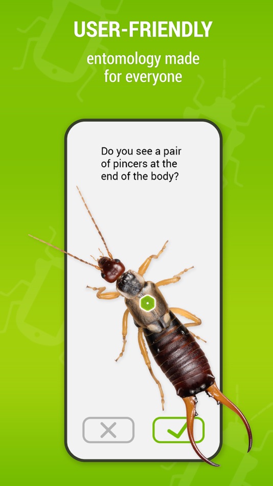 #3. Bugdex (iOS) Podle: DKB Digital Designs