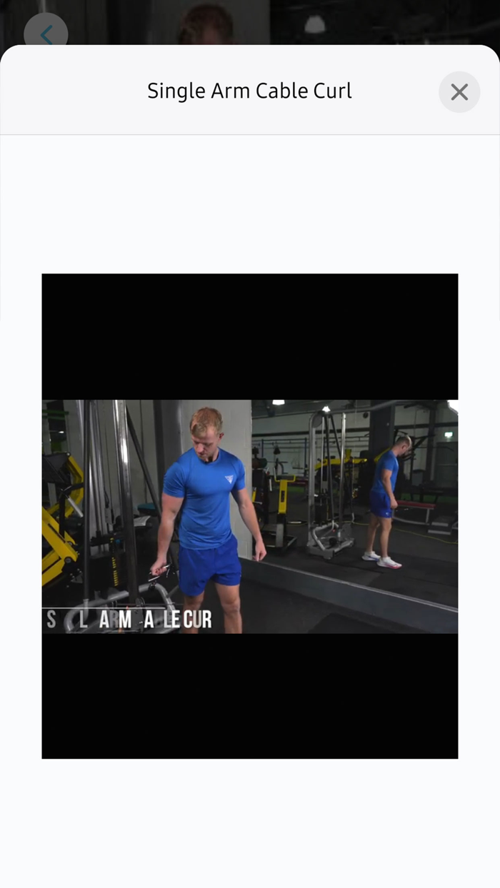 MC Future Fitness V3