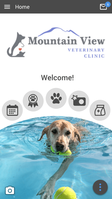 Mountain View Vet Clinic Screenshot