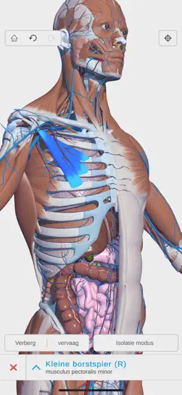 Visual Anatomy 3D - Human Game screenshot Visual Anatomy 3D - Human mod apk