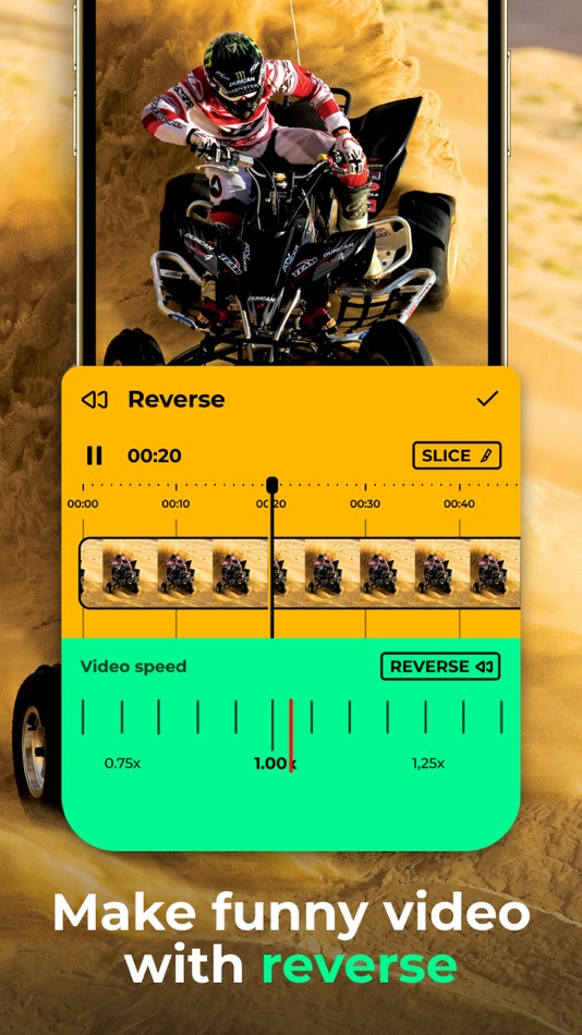 #1. Quick Reverse,Backwards Editor (iOS) 由: Artem Popov
