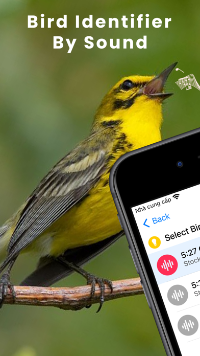 Bird Identifier by Sound ID! Screenshot