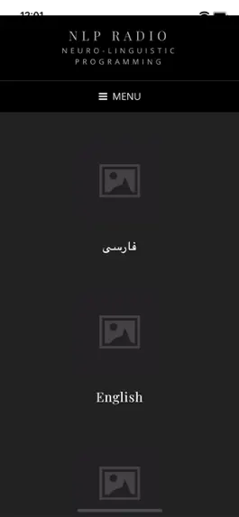 Game screenshot NLP Radio mod apk