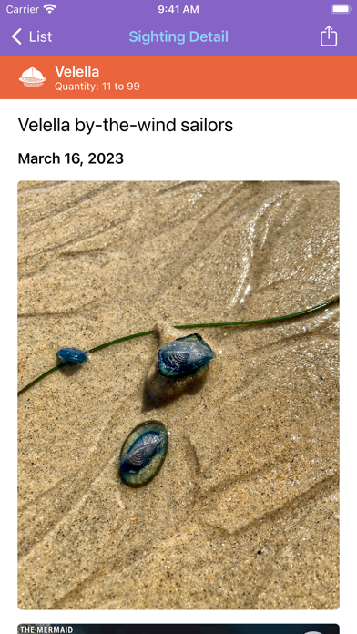 Jellywatch Screenshot