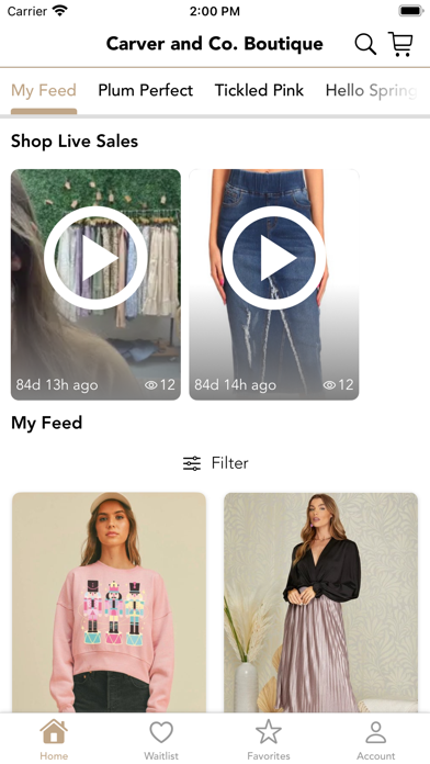 Carver and Co. Boutique Screenshot