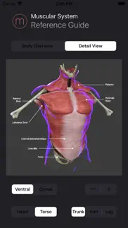 human muscular system guide iphone screenshot 3
