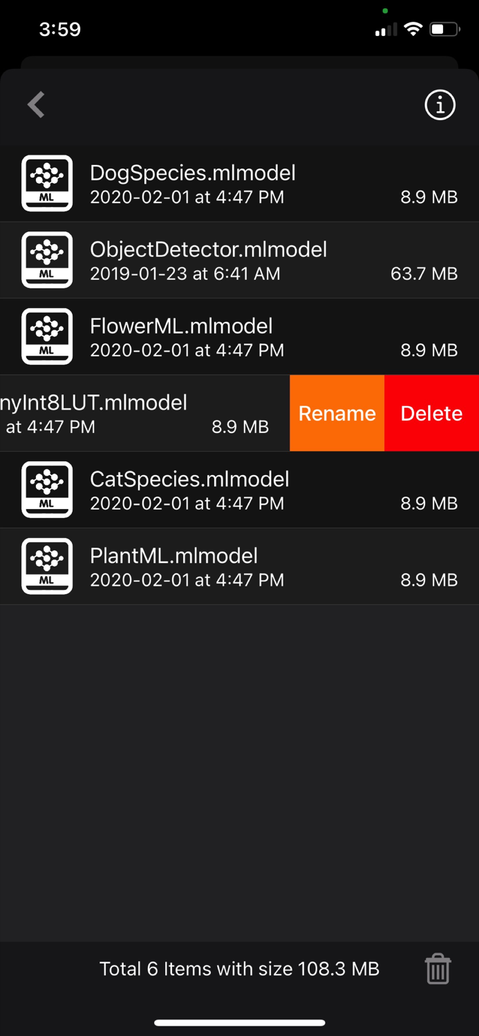 Object Detection Cam