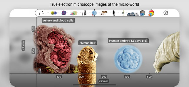 ‎Universal Zoom Screenshot