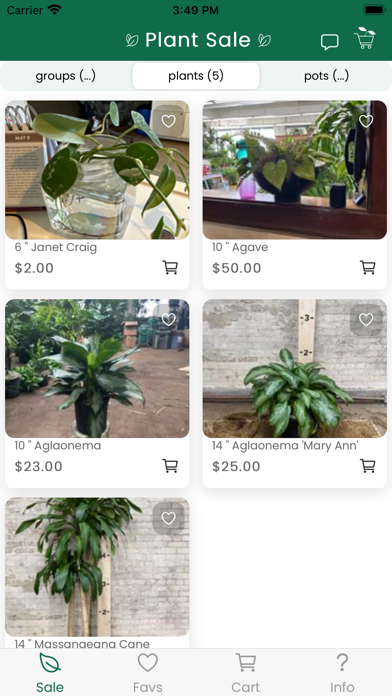 The Plant Market Screenshot