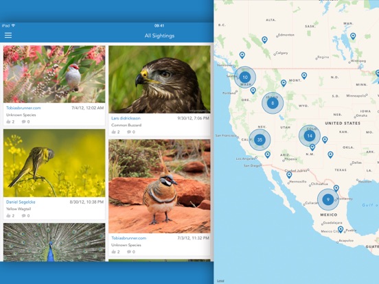 Vogels 2 PRO - NATURE MOBILE iPad app afbeelding 5