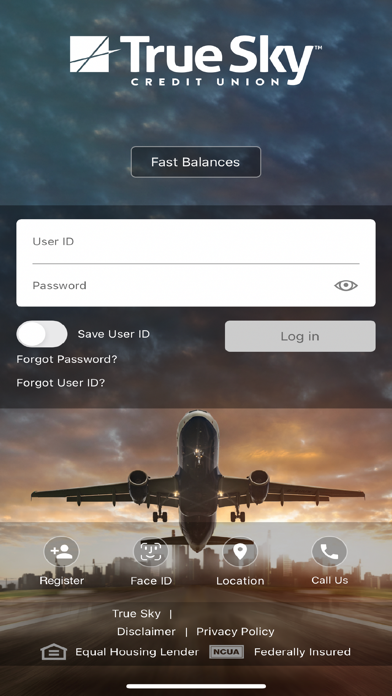 True Sky Credit Union Screenshot