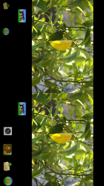 MS3D ChaCha screenshot-3