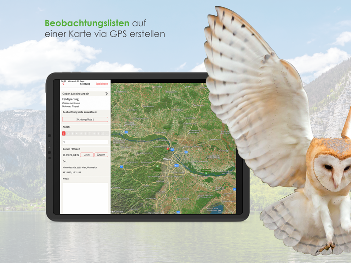 Vögel in Österreich