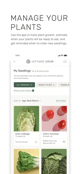 Game screenshot Lettuce Grow hack