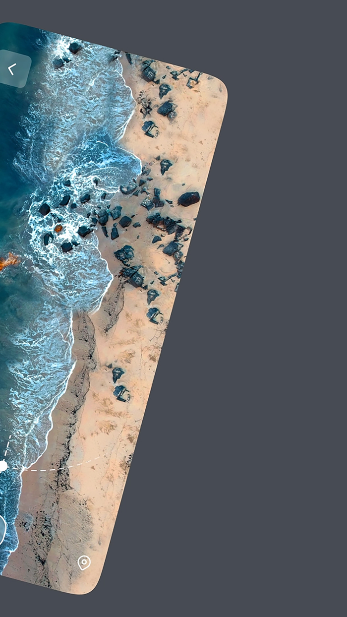 Go Fly Assistant for Drones