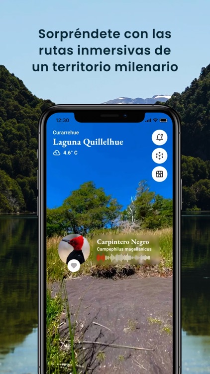 RDx Curarrehue screenshot-3