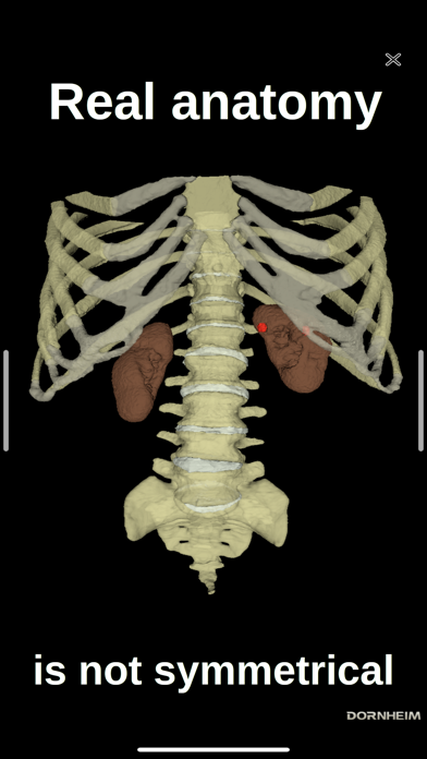 Dornheim Real Anatomy Screenshot